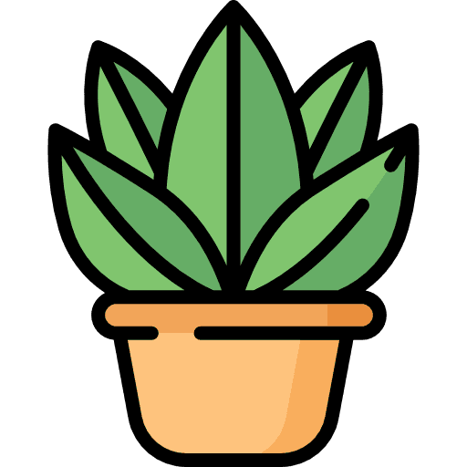 Personal Wealth Management